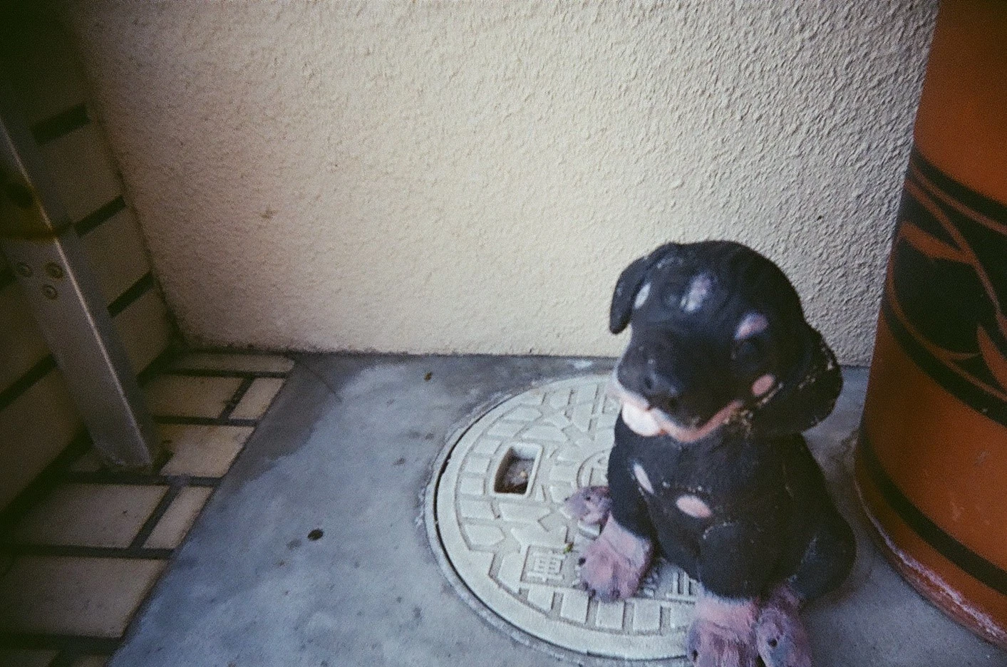 いつの日か撮った置物の犬